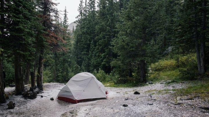 Camp Rain - gray tent beside lake surrounded by trees