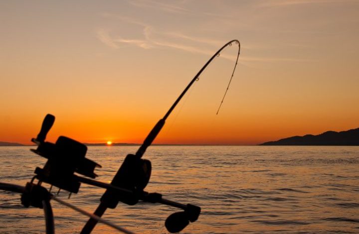 Fishing - black fishing rod and body of water during golden hour