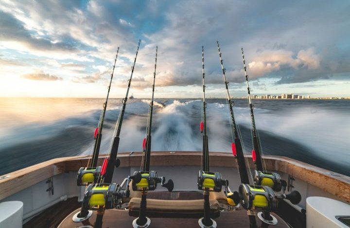 Photo of How Does Barometric Pressure Affect Fishing?