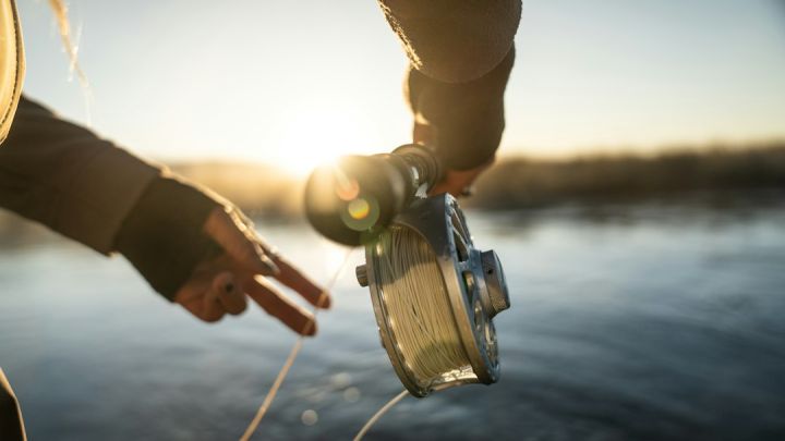 Photo of How to Document Your Fishing Trips Effectively?