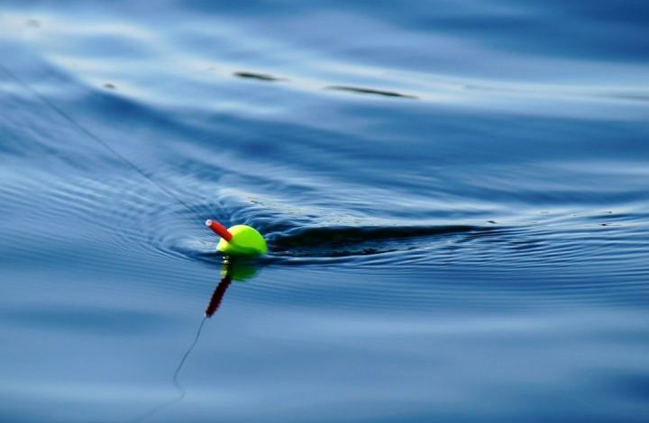 Fishing - close up photography of floater