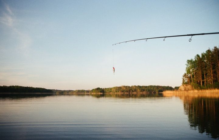 Fishing - photography of body of water