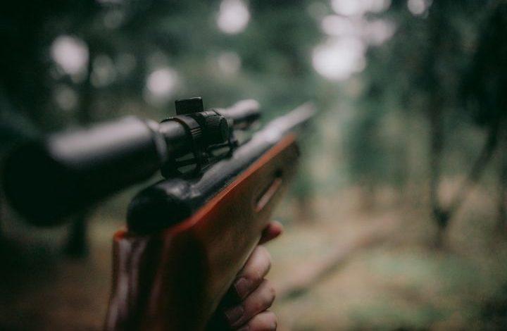 Hunter - selective focus photography of brown hunting rifle