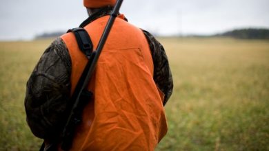 Photo of What’s the Role of Scents in Hunting?