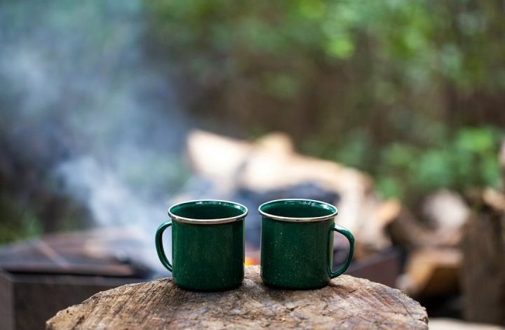 Camp - 2 green ceramic mugs on brown wooden log