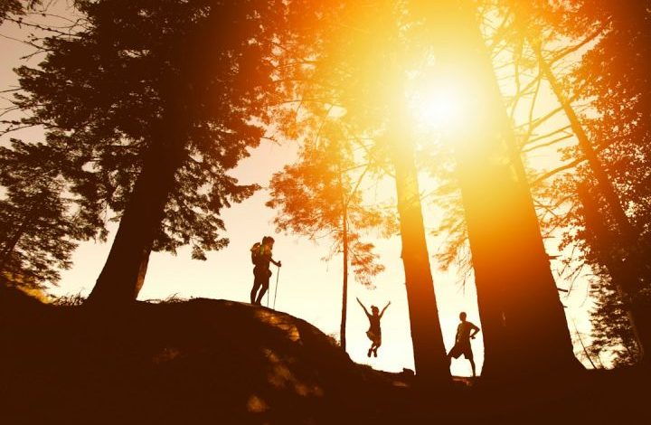 Hiking - silhouette photo of three person near tall trees