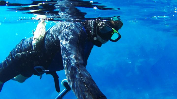 Spearfishing - underwater photography of person diving