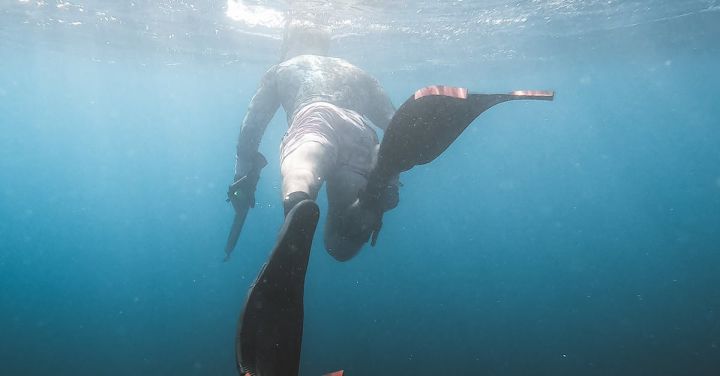 Spearfishing - Person Fishing under Water 